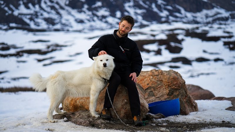 Arctic Wildlife Silent Tracking Skills