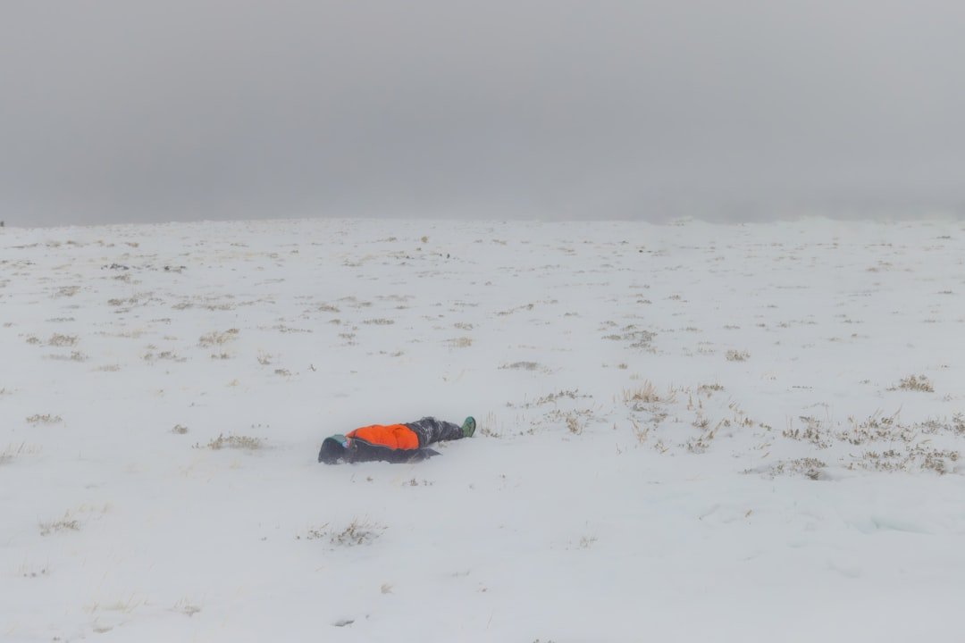 Wildlife photographer demonstrating low-profile crawling approach technique across snowy Arctic tundra toward distant muskox herd